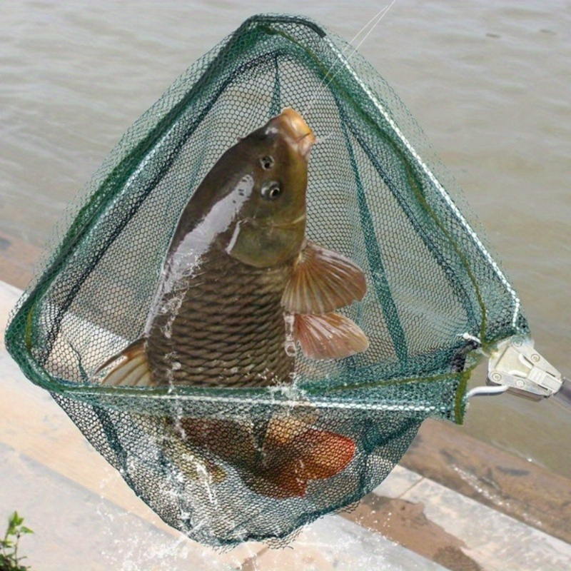 Opvouwbaar driehoekig vislandi - Landing Net Telescopic recensie en prijs