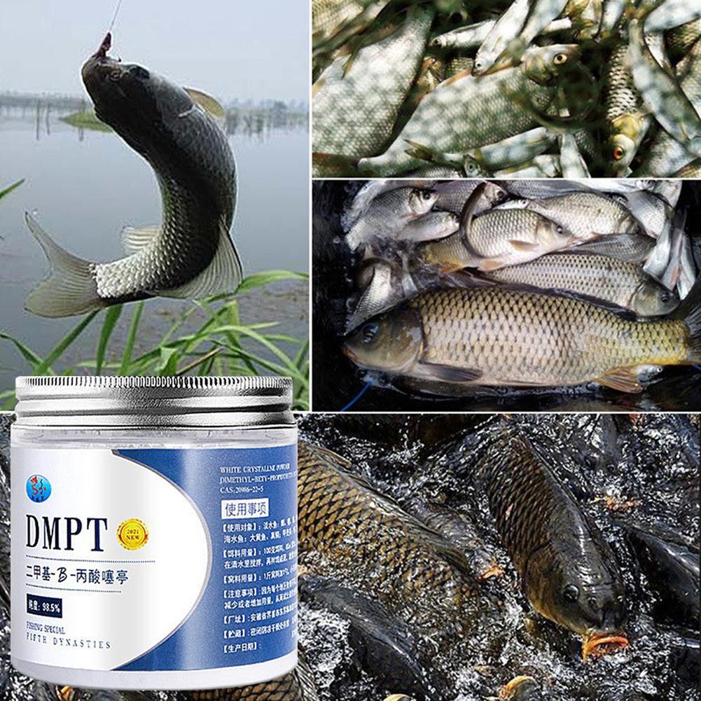 50G Echte Dmpt Hoge Zuiverheid - Fishing Equipment For Sale recensie en prijs