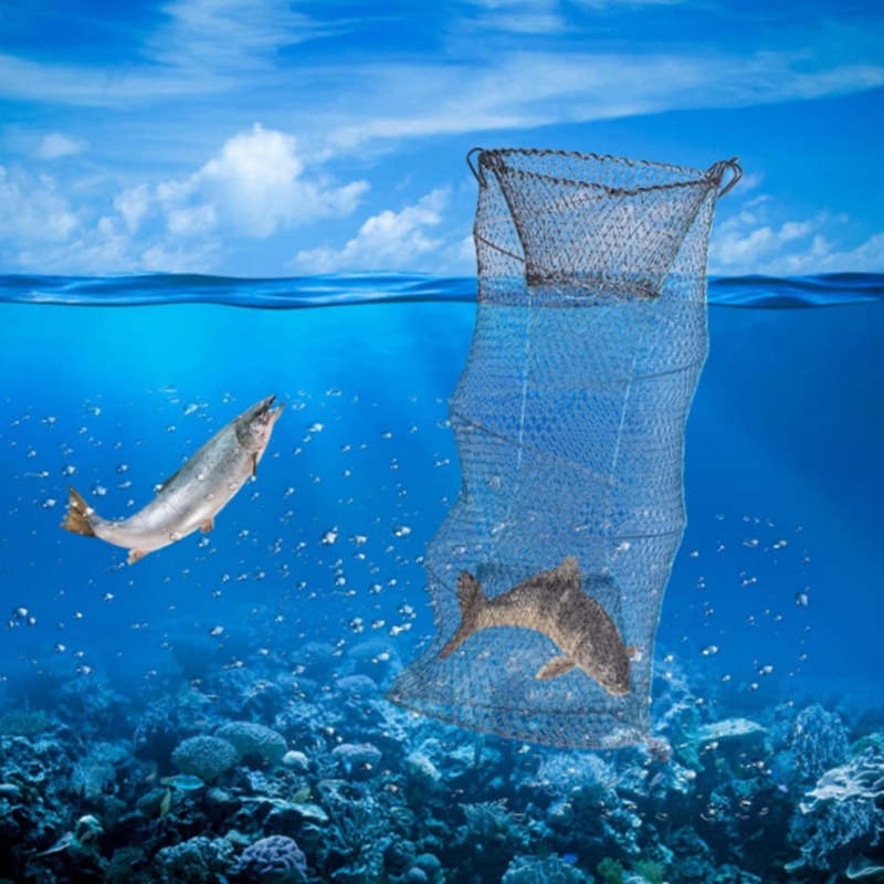 Telescopische Opvouwbare Rivie - Landing Net Telescopic recensie en prijs