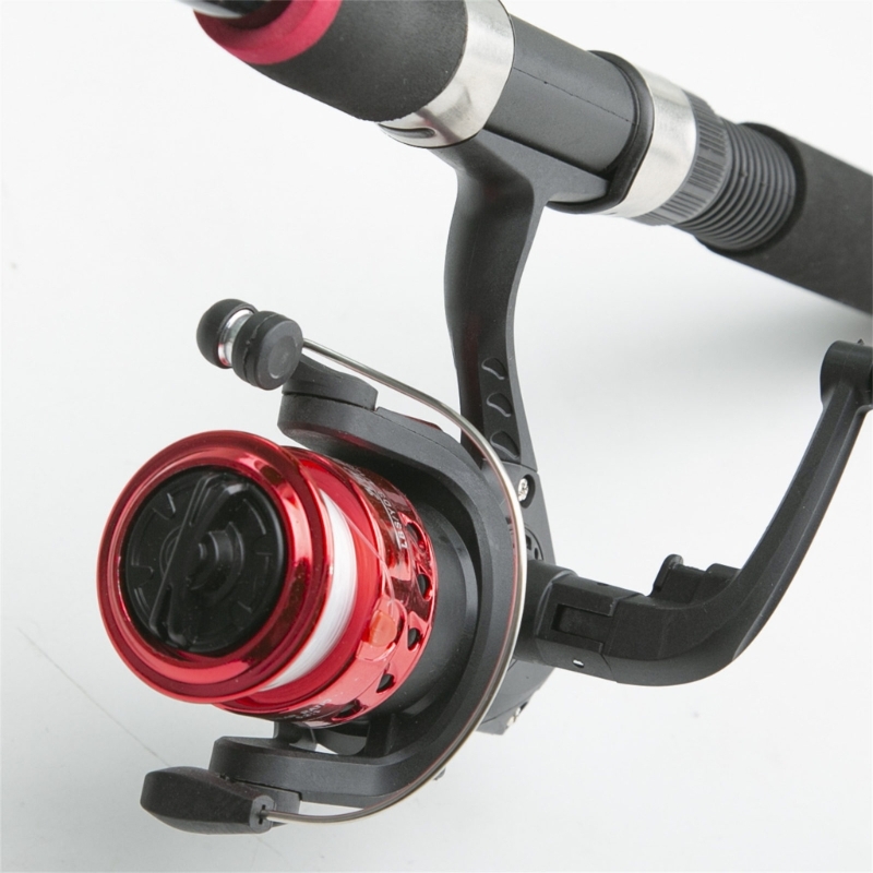 Beginnersvisset Visgerei inclu - Landing Net Telescopic recensie en prijs