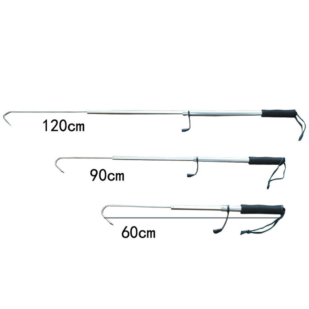 Telescopische visgaffel van ro - Landing Net Telescopic recensie en prijs